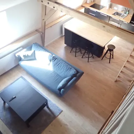 Lägenhet Avec Mezzanine Centre Village *